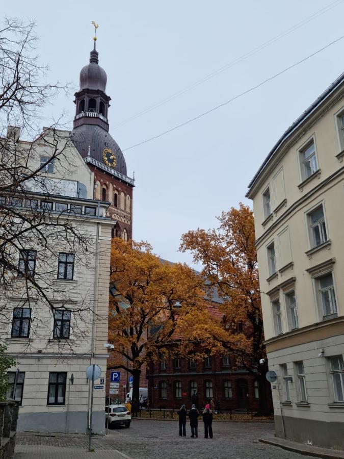 3 Bedrooms Next To Dom Square Apartamento *